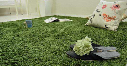 空氣清新劑危害多 負氧離子才能使空氣真正清新